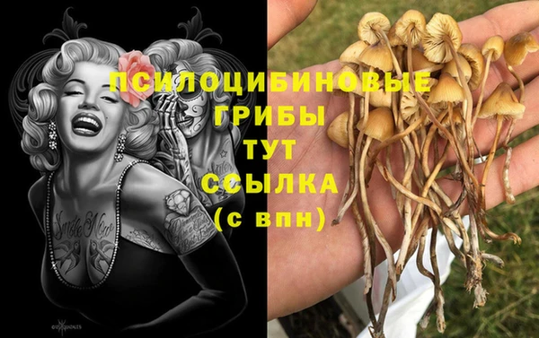 spice Вязники