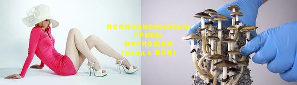 МДПВ Корсаков