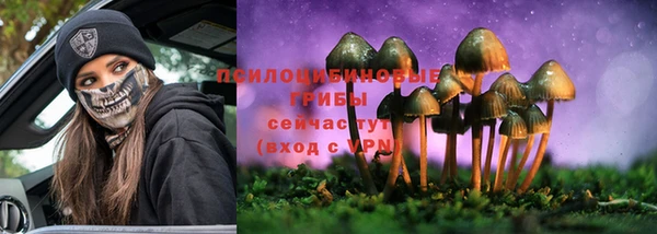 apvp Волоколамск