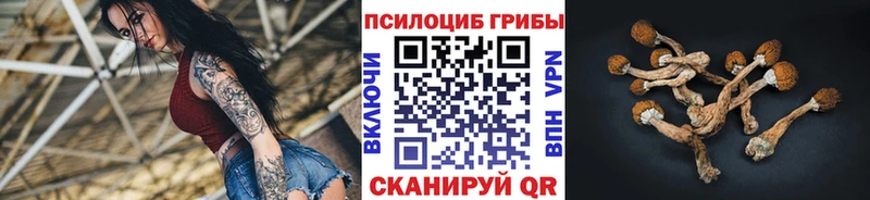 продажа наркотиков  Олёкминск  Галлюциногенные грибы Psilocybe 