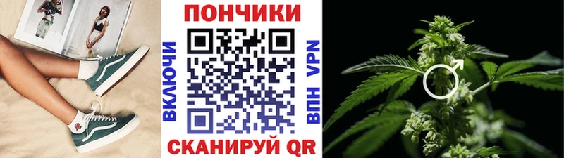 Канабис план блэк спрут маркетплейс Олёкминск